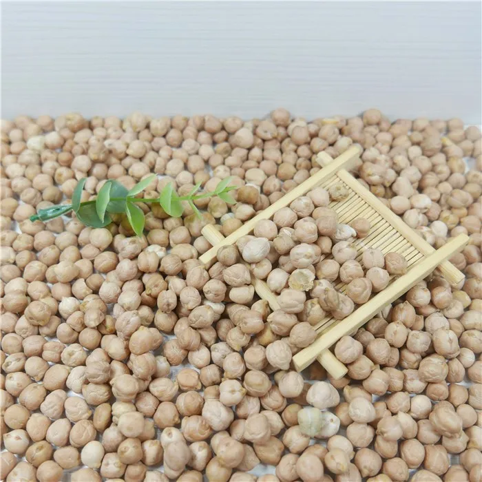 India Wholesale High Quality Chickpeas/ Best KabuliI Chick Peas 11 mm