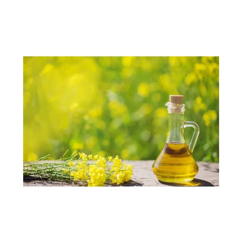 Wholesale Price Good Quality 100% Pure Refined Rapeseed Vegetable Oil