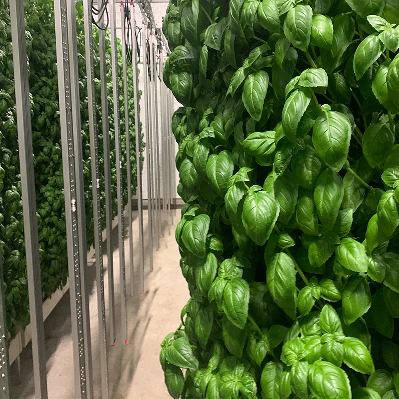 Good Heat Insulation Fashionable Prefab House Prefabricated Shipping growing chamber House For Sale