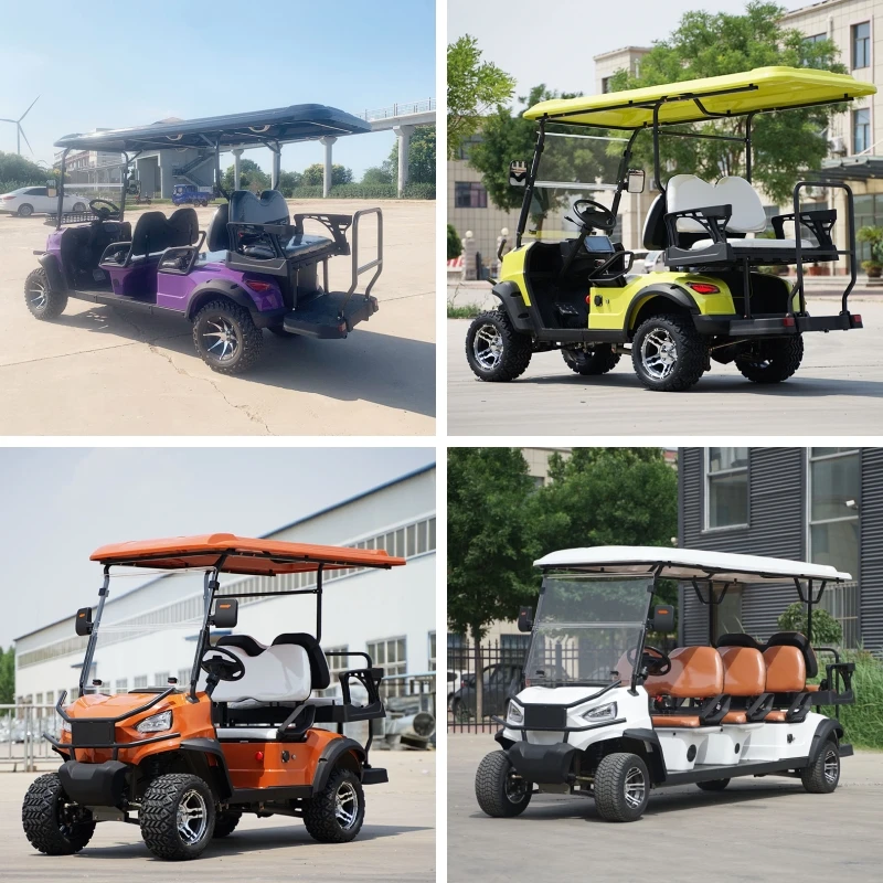 Fast Delivery Low Price 2 Seater Lithium Battery Golf Cart  Multifunctional Adults 4-wheel Electric Golf Cart