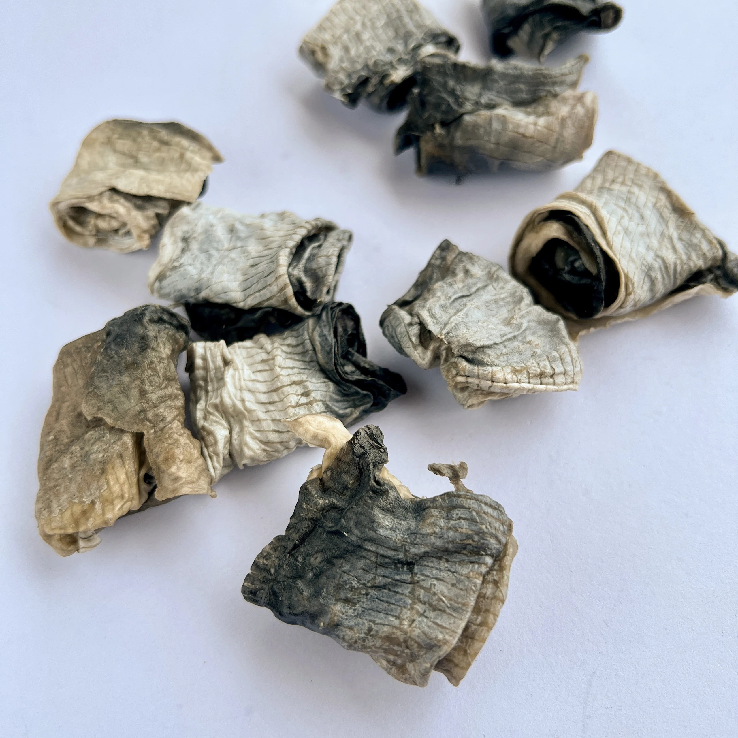 Закуски для животных гигантских больших средних пород высококачественные ингредиенты полезные здоровья сушеный пангасиус рулон из рыбной кожи вьетнамский OEM/ODM