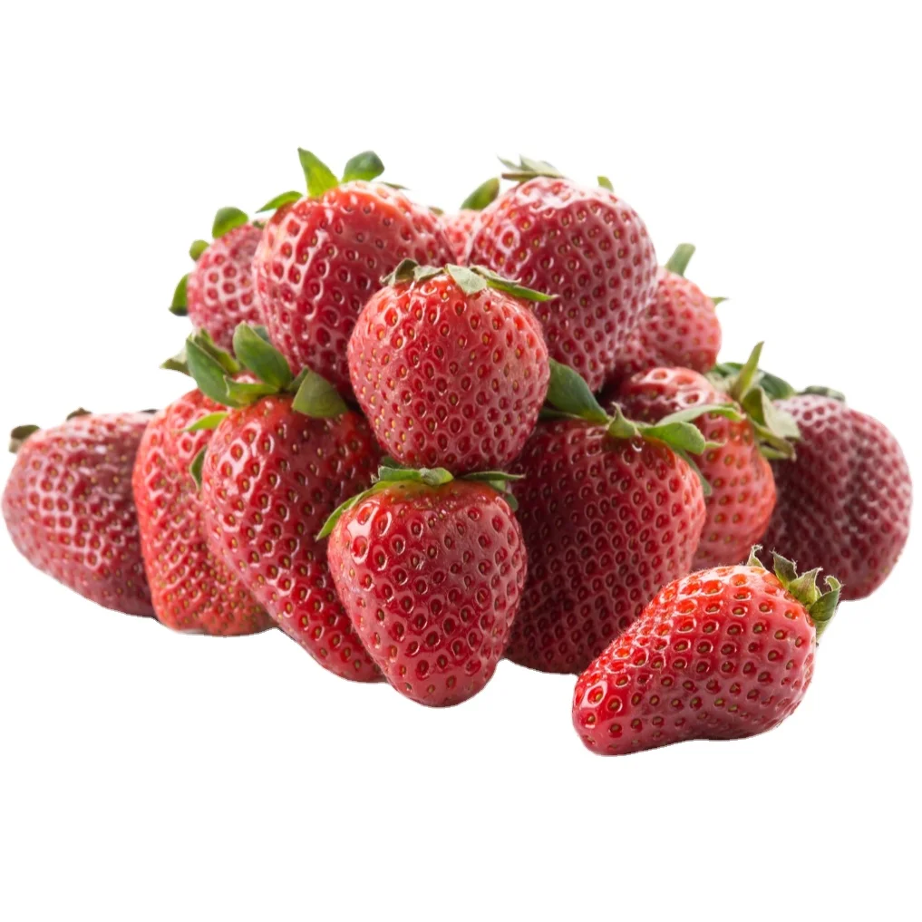Crimson Delicious Turkey Wholesale Premium Quality Strawberry Fresh Turkish Strawberry Juicy Best Price