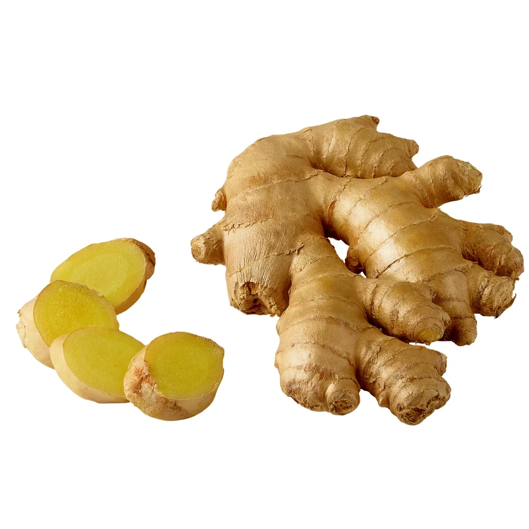 Newest Harvest Seasson Light Yellow Fresh Ginger With Quite Spicy Taste And Good Old Ginger Origin Vietnam