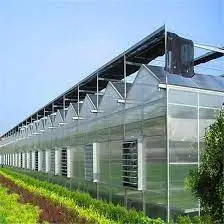 New Style Smart Aquaponics Greenhouse Complete Growing Systems For Multi-span Greenhouse