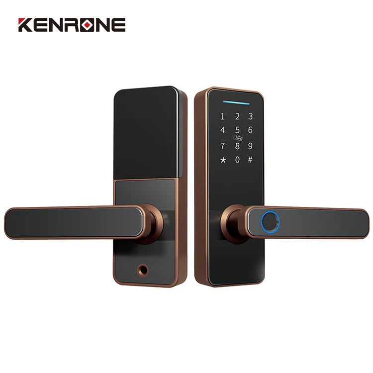 High Security Anti Theft Smart Door Lock  Blue Tooth Ttlock Electronic Fingerprint Smart Lock