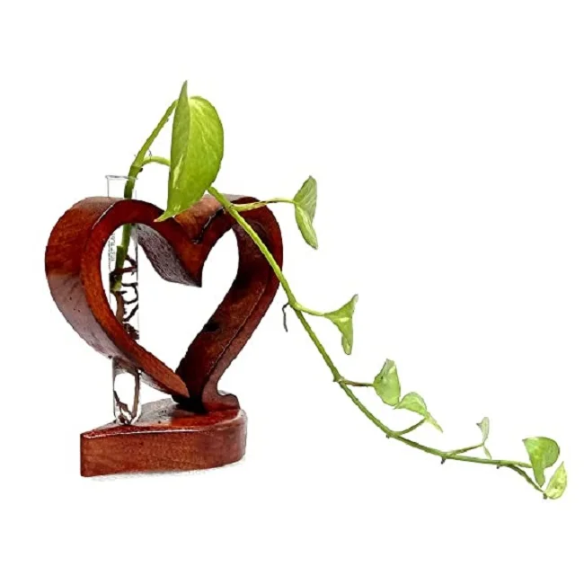 Beautifully Designed Stylish and Classy Decor Glass Tube Flowers Vase with Wooden Holder Base for Decorating House & Work Place