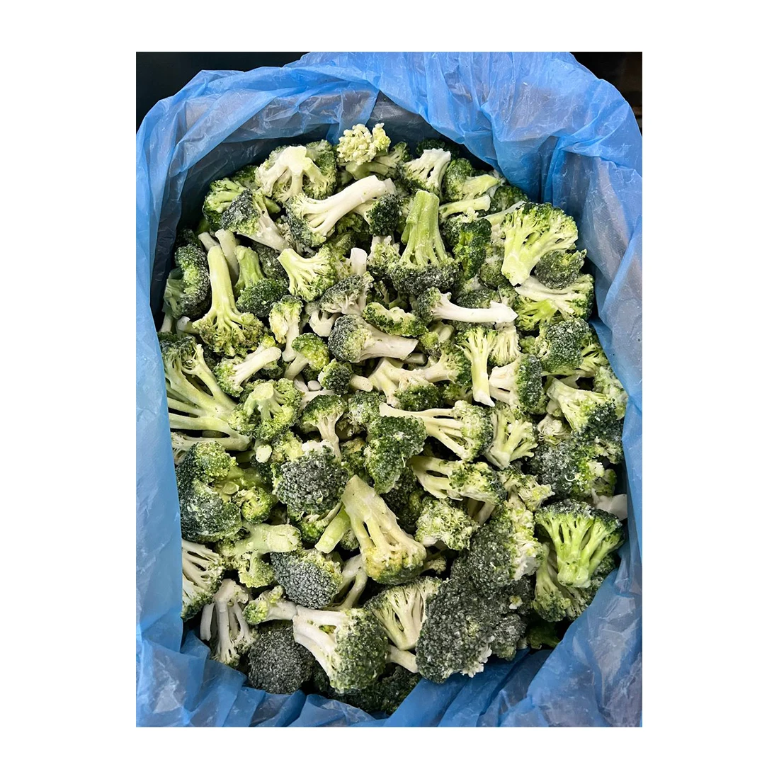 High quality IQF frozen vegetables from Uzbekistan IQF Frozen broccoli 8 kg in carton boxes for food