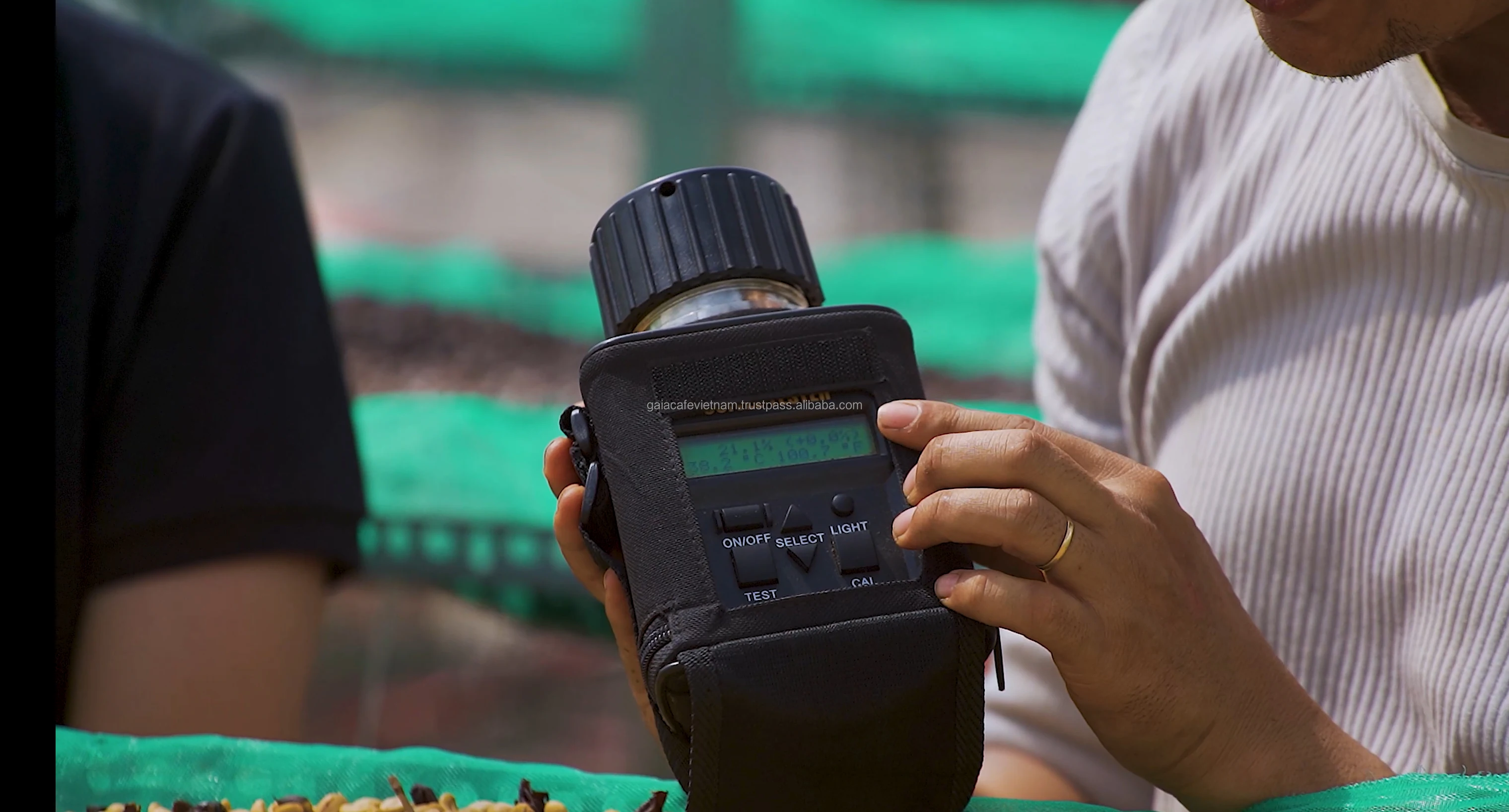 Arabica Green Coffee Beans Premium Quality Honey Process Single Origin long shelf-life Coffee from Cau Dat Farm Vietnam