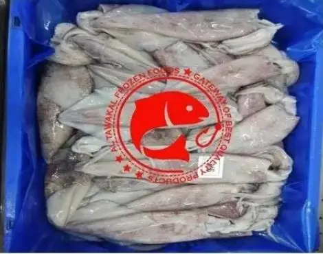 Frozen Whole Loligo Squid For Export in Bulk Quantity High Quality Frozen Loligo Squid Available in Multiple Sizes