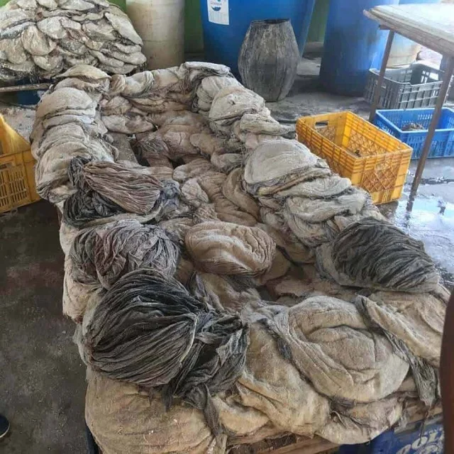 Bulk Salted Omasum Exporter Quality Frozen Beef