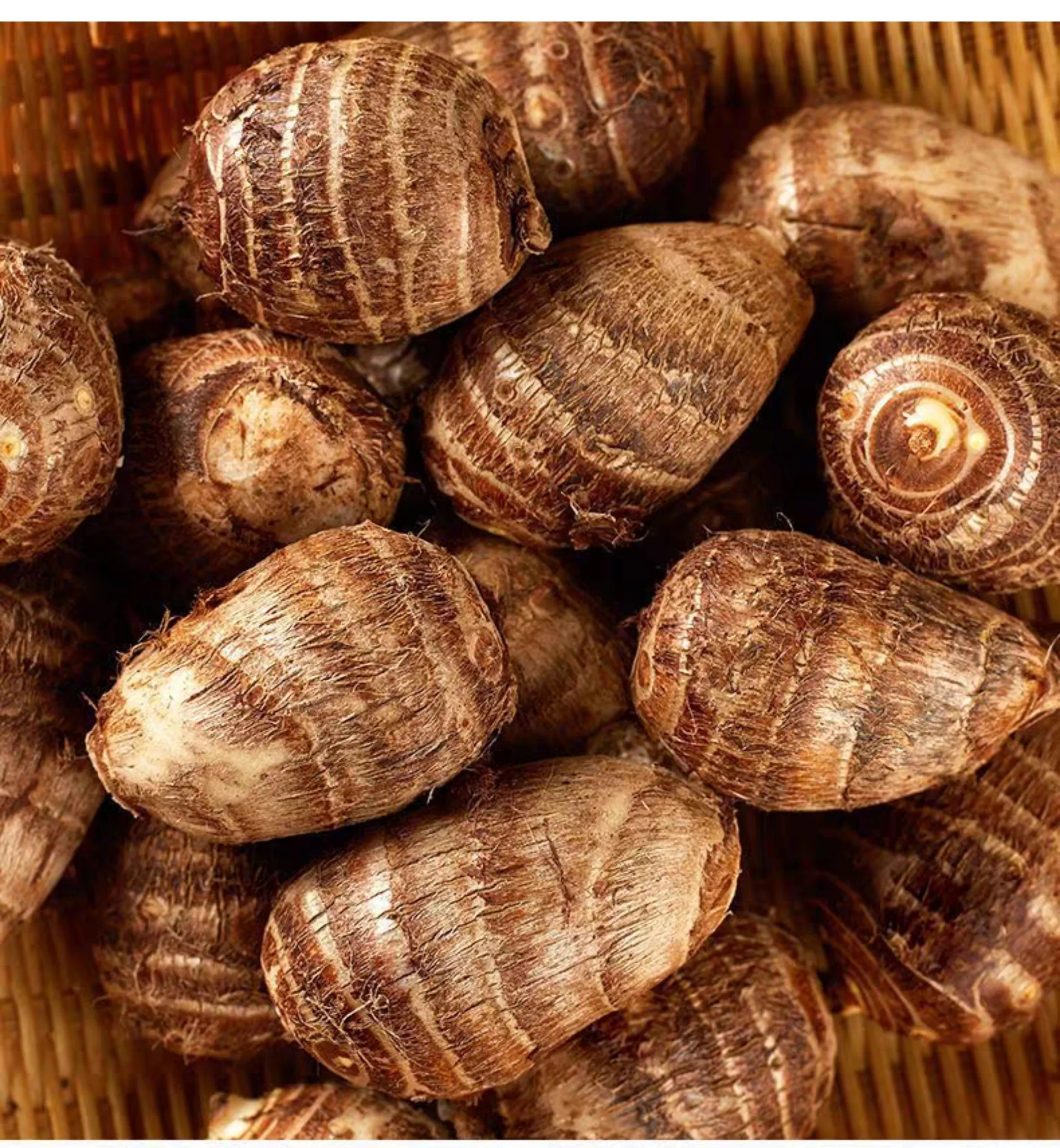 New Fresh Small TARO From Vietnam