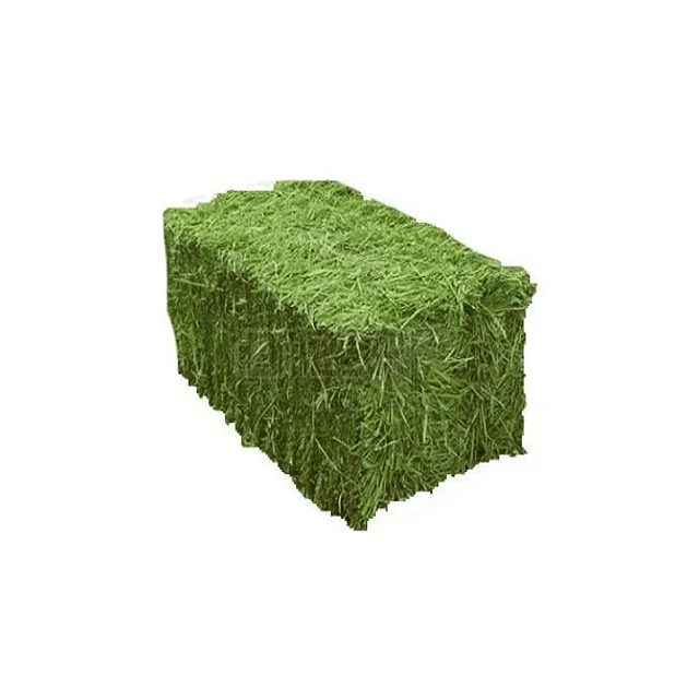 High Quality Non-GMO Alfafa Hay for Animal Feeding Alfalfa /Rodent Hay for sale