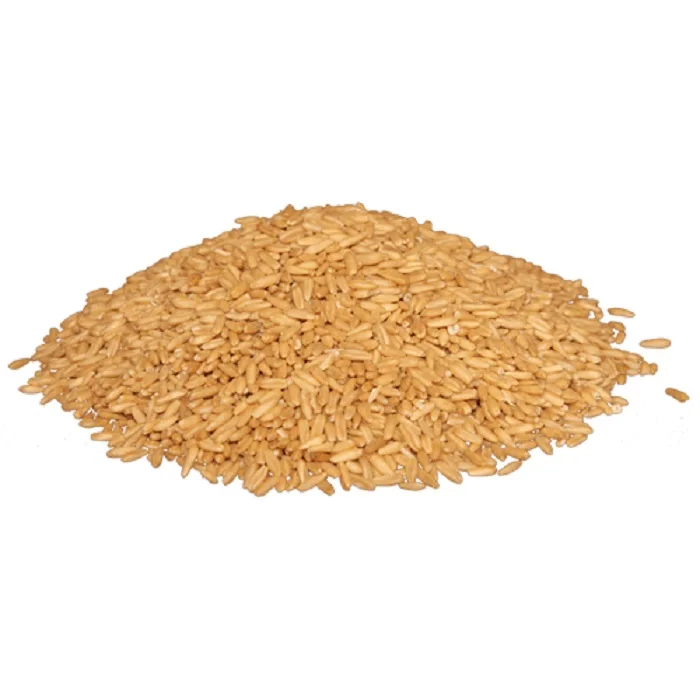 High Quality Wheat Grain for Supply Wholesale Price