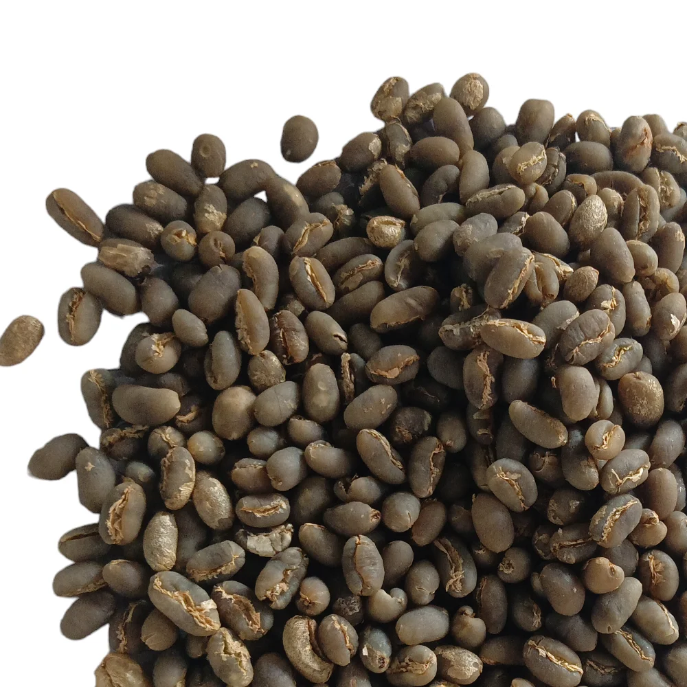 Premium Sumatra Mandheling Peaberry Green Coffee Beans Specialty Grade Arabica Coffee Directly Sourced from Indonesia