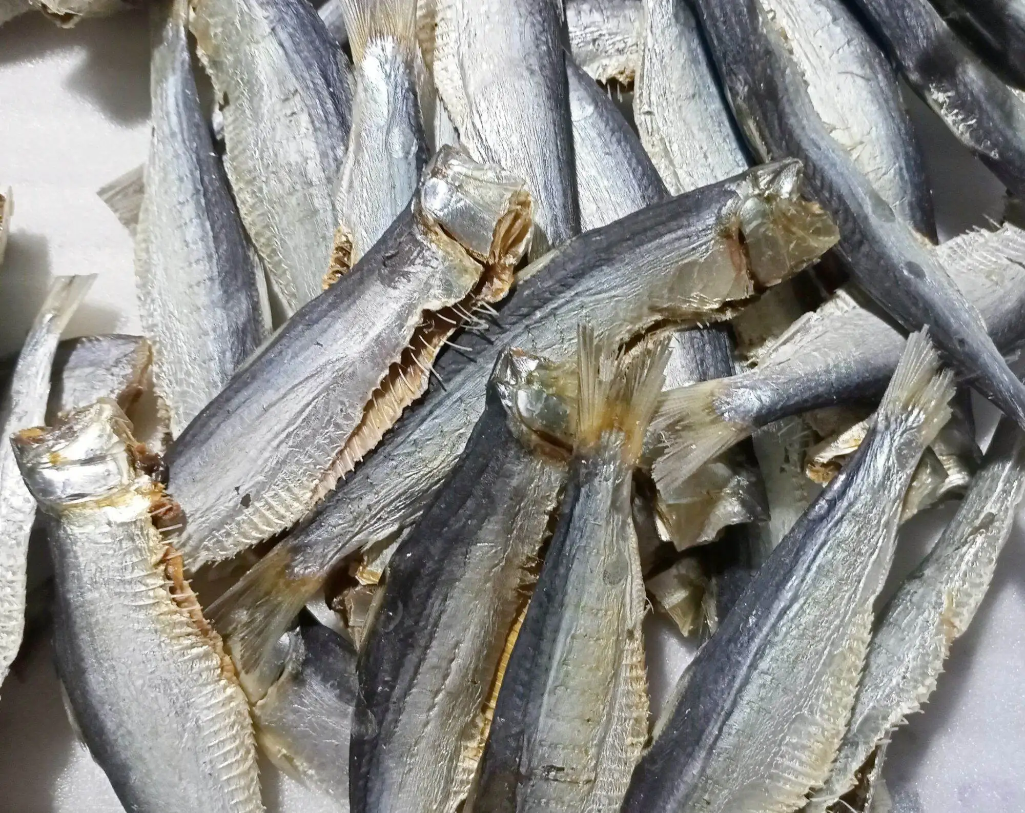HOT SALE 100% NATURAL DRIED HERRING FISH FOR COOKING- WHOLESALE BEST PRICE DRIED FISH FROM VIETNAM