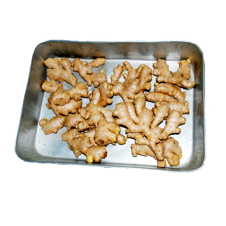 Excellent Grade Root Ginger Conventional And Organic FRESH Organic Ginger USDA Certified New Crop Black Ginger Root