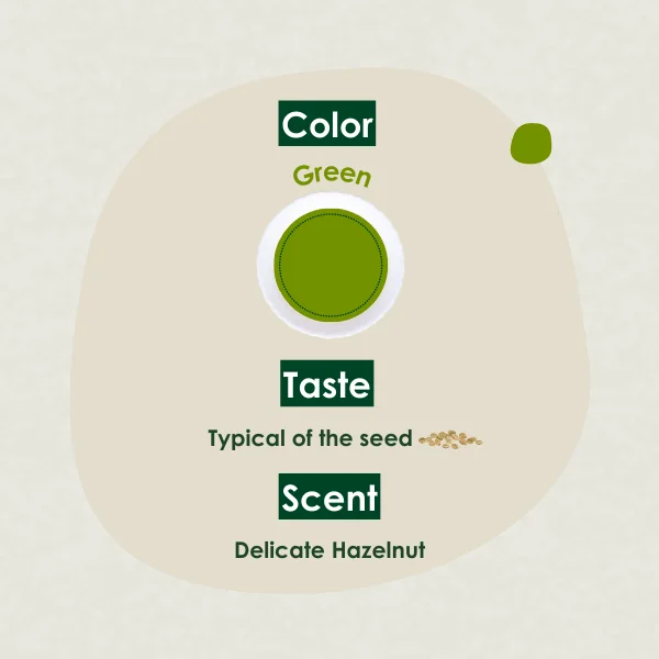 Premium Quality Organic Virgin Hemp Seed Oil  Genre Ready for Shipping