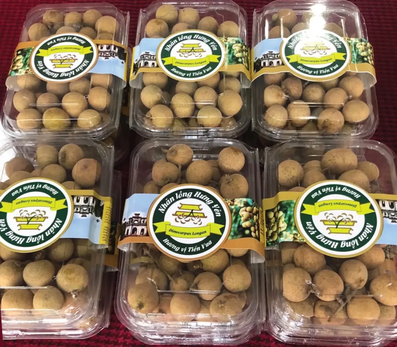 Вьетнам свежий Longan 100% Свежий фрукт лучшая цена оптом Горячая Распродажа