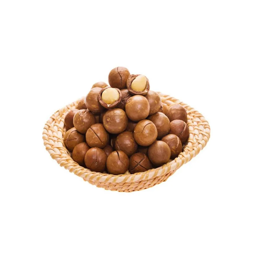 Best price Macadamia Without shell roasted double halves with Medium Size Manufacturing Wholesale Grade A Macca Nuts