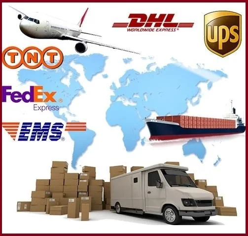 import declaration service in Shenzhen