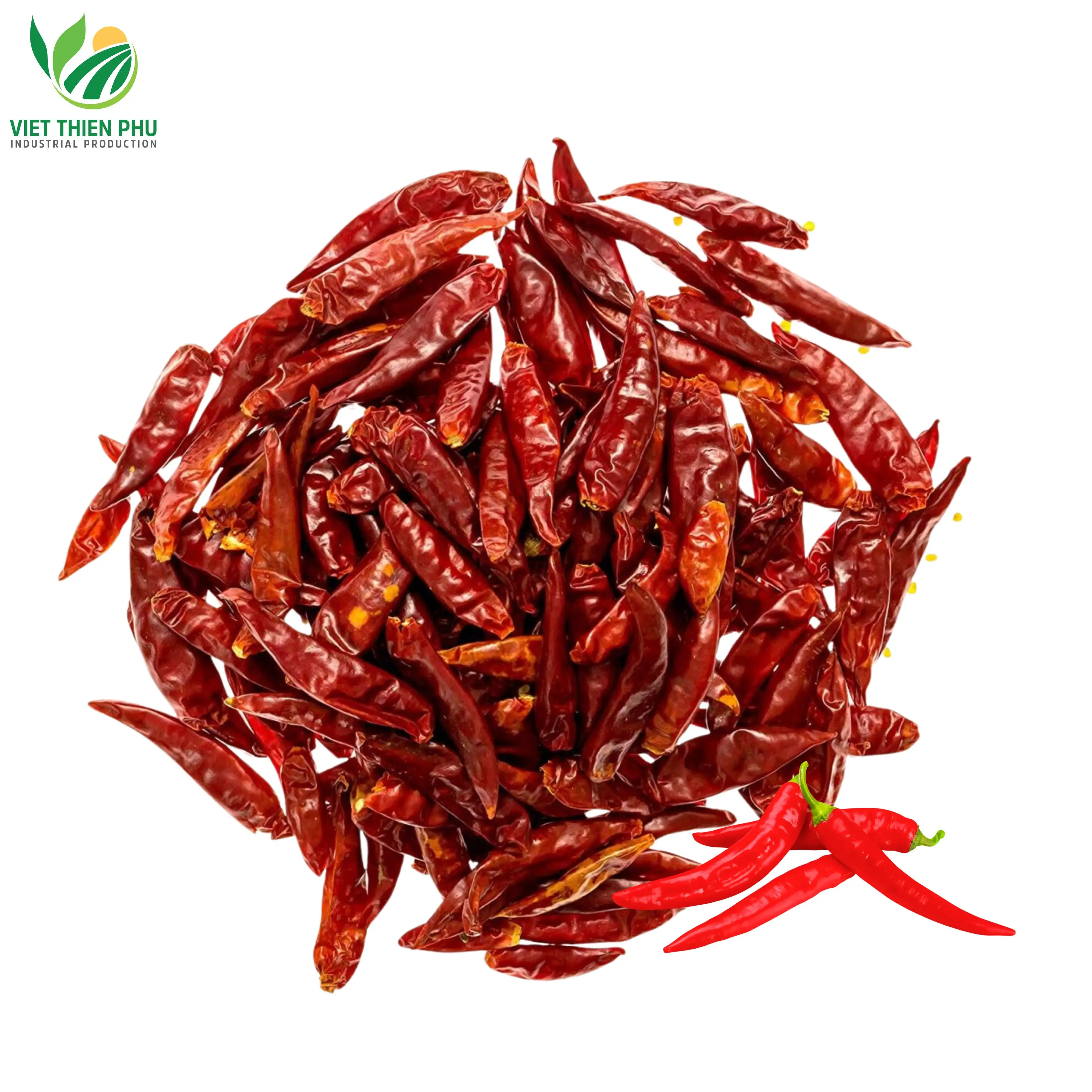 VIET THIEN PHU-Dried Red Chili Single Spices Chilli High Quality Top Product Of Vietnam