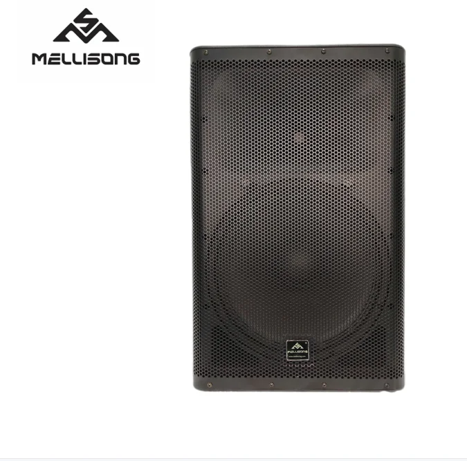 Professional Powered 500-watt 15-inch two-way plastic Active Speaker FPM15AD With bluetooth and MP3, SD, USB OEM/ODM