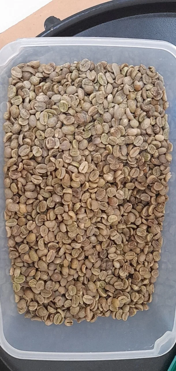 Color Weight Variety Shelf Origin Type Life Coffee Beans Green Coffee Beans Arabica Semi Washed S16  HUNG TAM VN from Vietnam
