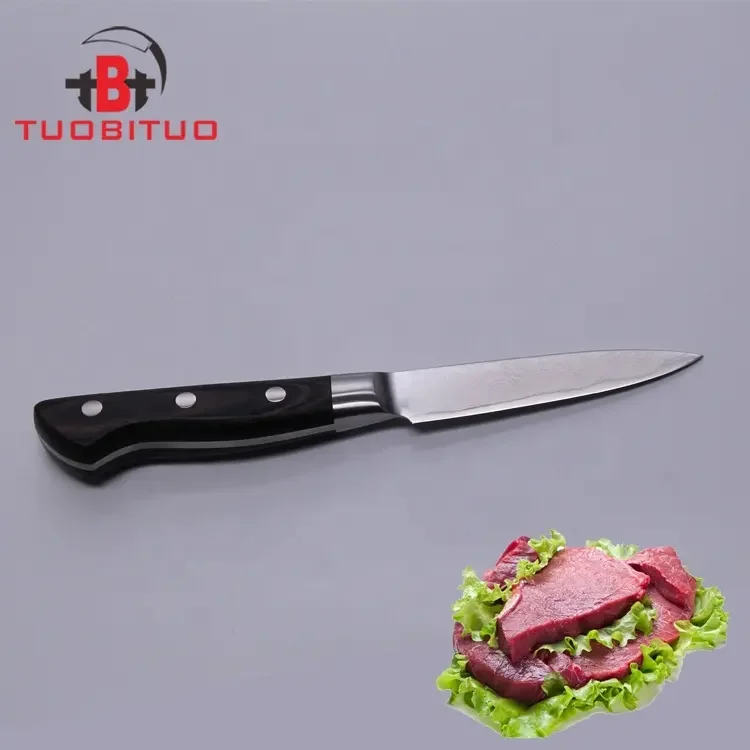 Cuchillos De Cocina Acero Damasco Japanese Aus10 Damascus Steel 3.5 Inch Kitchen Fruit Paring Knife With Pakka Wood Handle