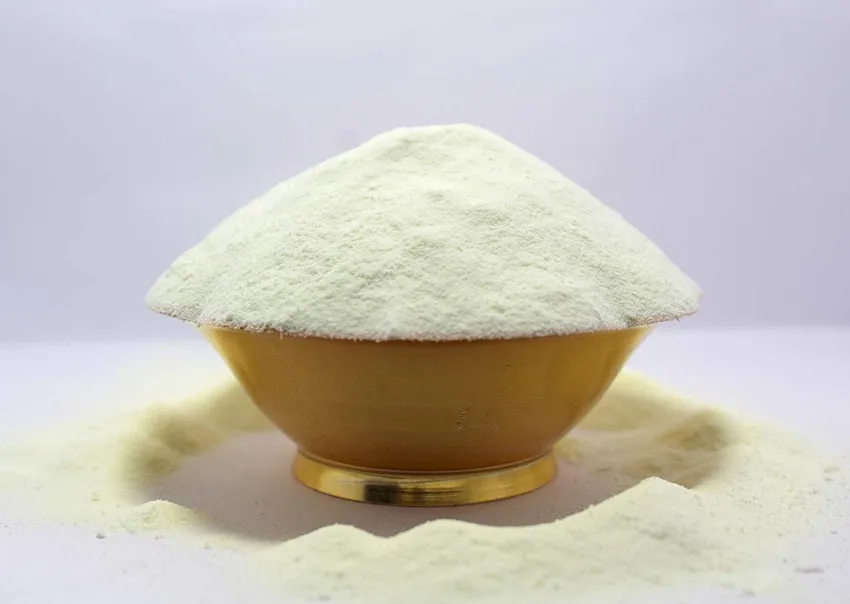 Skimmed milk powder 1.5% Fat Content 25 kg/ cream-colored powder Additive for ready meals and drinks for long-term storage