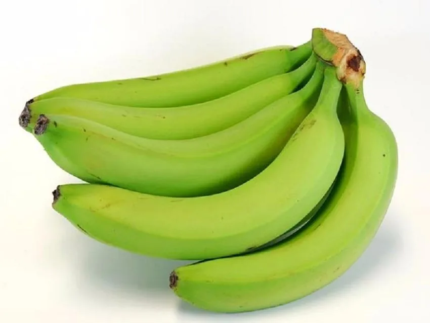 BANANAS from ECUADOR Yellow Green PREMIUM Tropical BANANA Style Cavendish Color Weight Origin Type Certificate Quality Variety