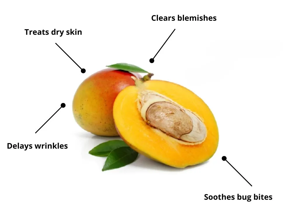 Whole sale Exporters and Manufacturer from India for Good Quality Mango Butter Used as Natural Skin Care With Customized Packing