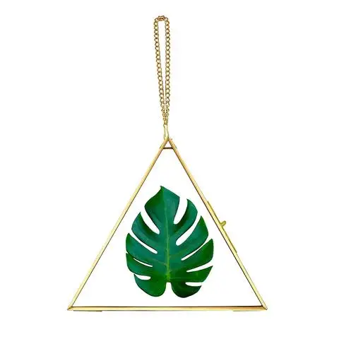 Triangle Shaped Wall Hanging Brass And Glass Photo Frame Double Sided Glass Picture Frame For Home & Office Wall Decor