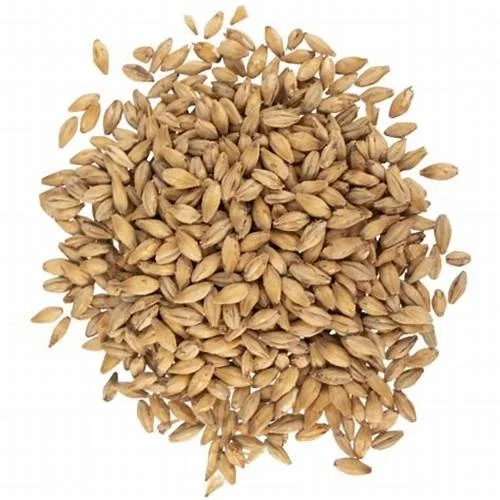 New arrival Quality Soft and Hard Wheat Grains / Premium Quality Soft Milling Wheat 100% Pure High Quality Wheat, At Low Price