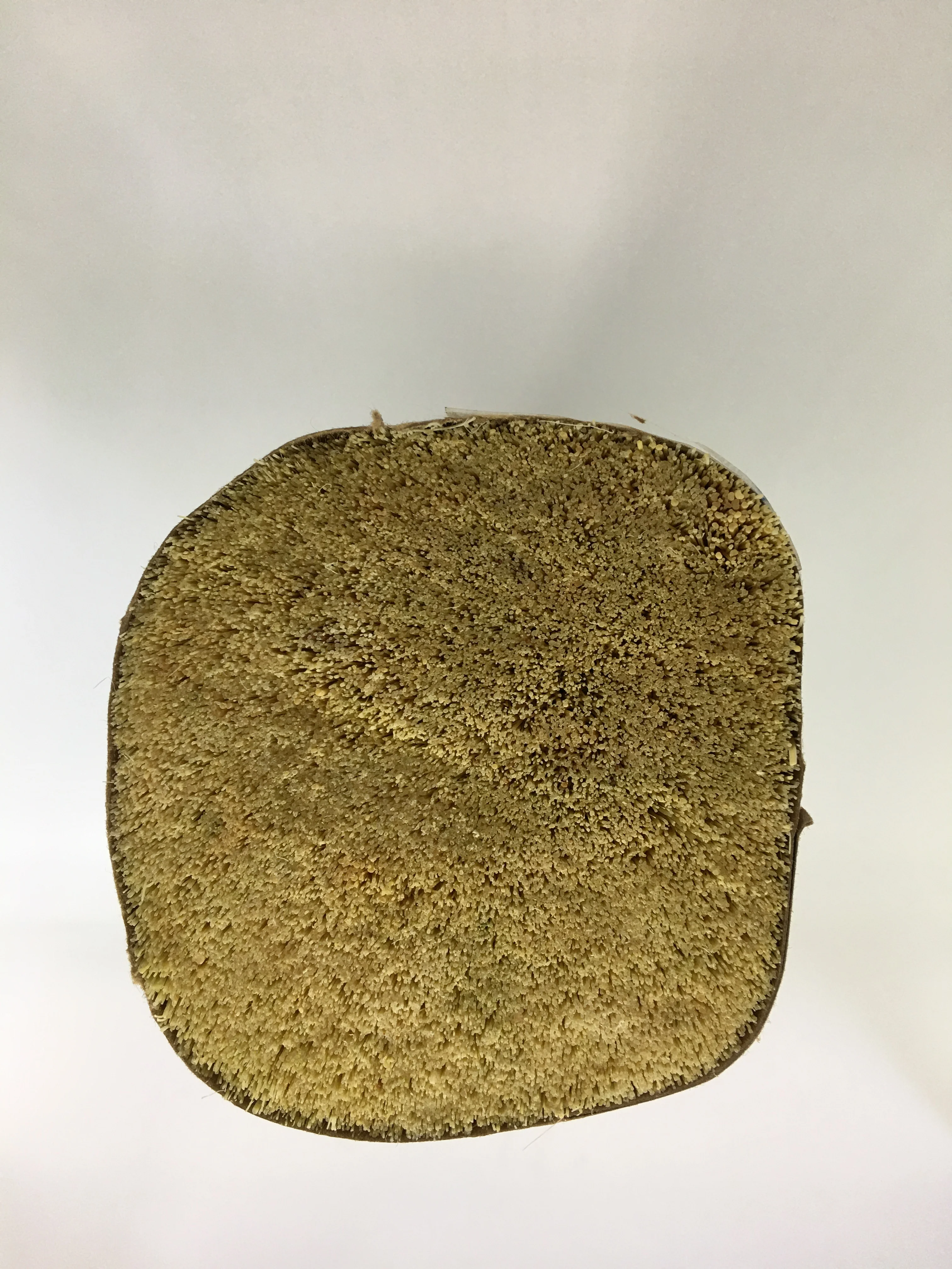 Brush Fiber Tampico Natural Tampico Fiber For Tampico Brush and Broom Making