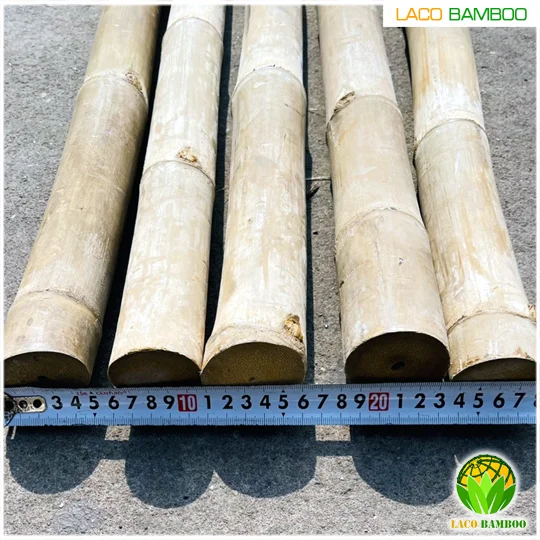 Bamboo Cane with Cheap Price, Moso Bamboo Poles Custom Service Natural Bamboo For Decor And Construction.