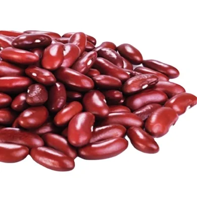 Polished Organic Non-GMO Dark Red Kidney Beans rice and beans red kidney bean
