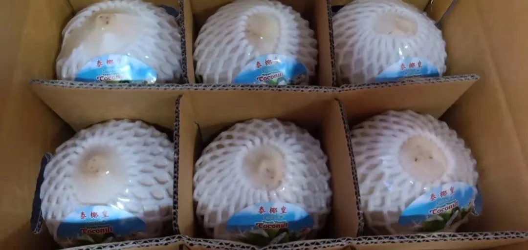 Свежий кокос премиум-класса из Таиланда, 100% натуральный свежий кокос премиум-класса, лучший продавец