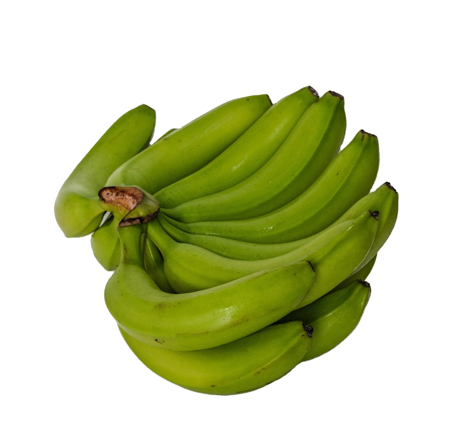 BANANAS from Vietnam Yellow Green PREMIUM Tropical BANANA Style Cavendish