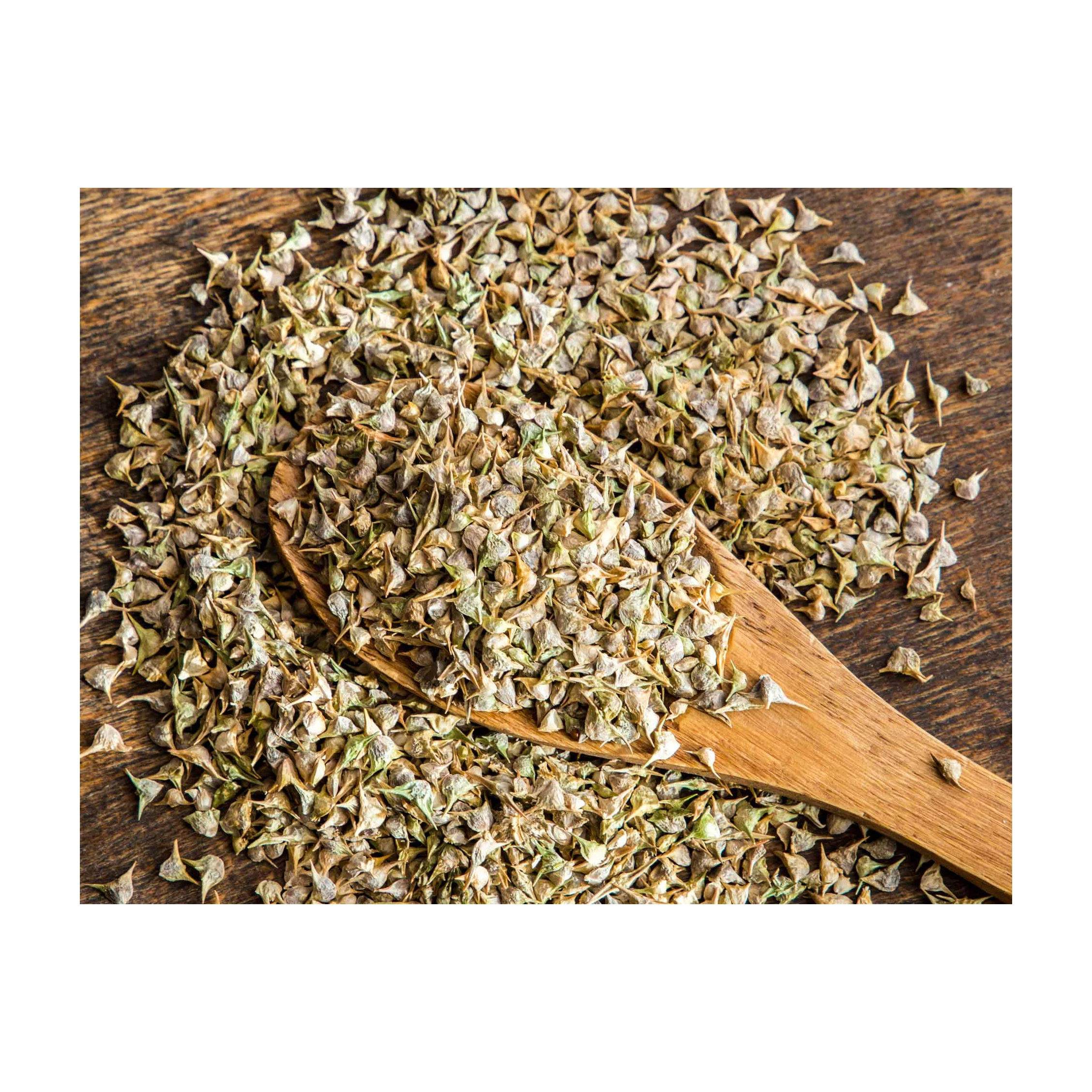 Hot Sale single row maize cabbage bean spinach seeds