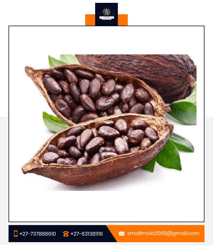 Global Exporter of Cacao Beans Good Quality Dried Cocoa Beans/ Cacao/ Chocolate Bean