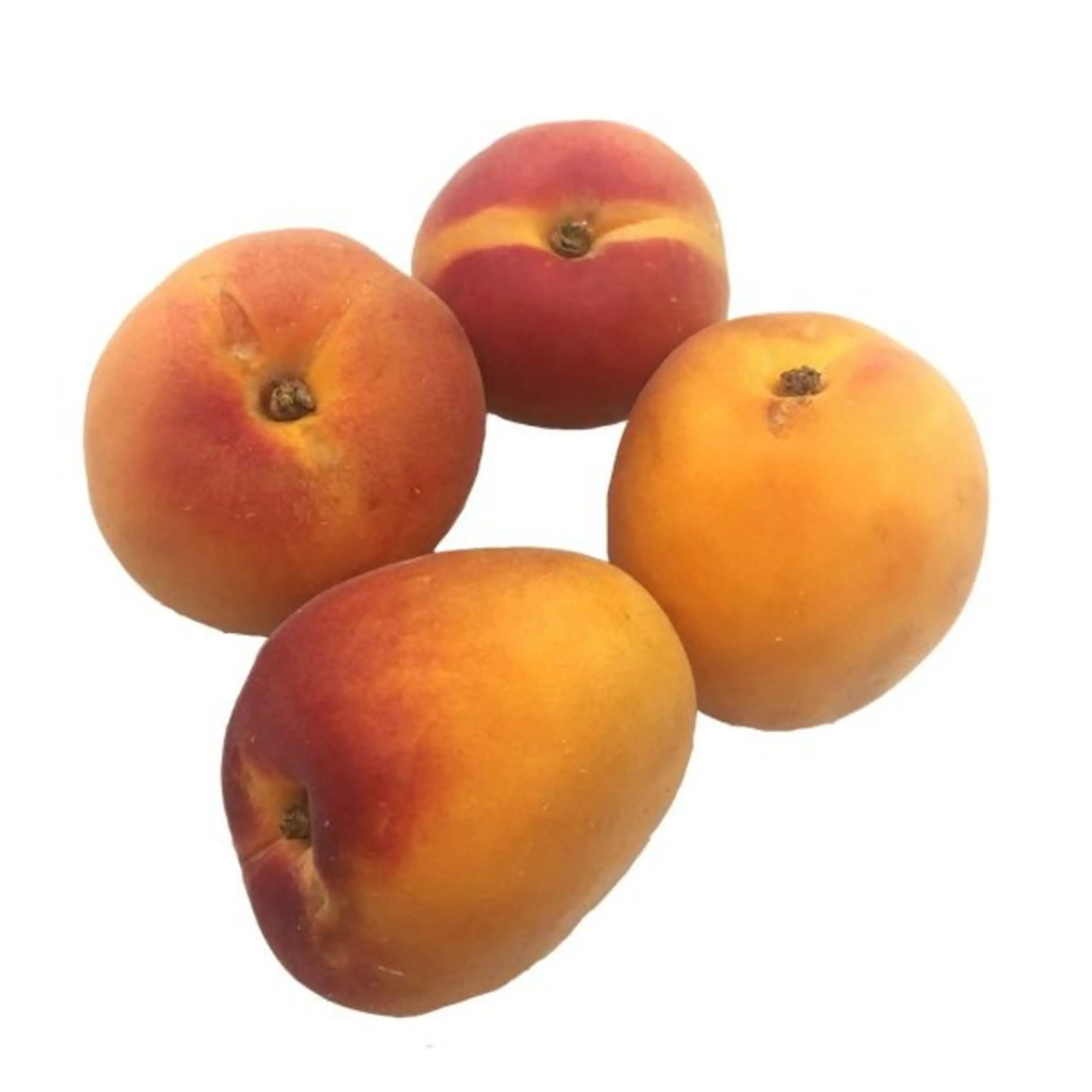 Buy Organic Fresh Apricots/Fresh Apricots From Farm For Sale