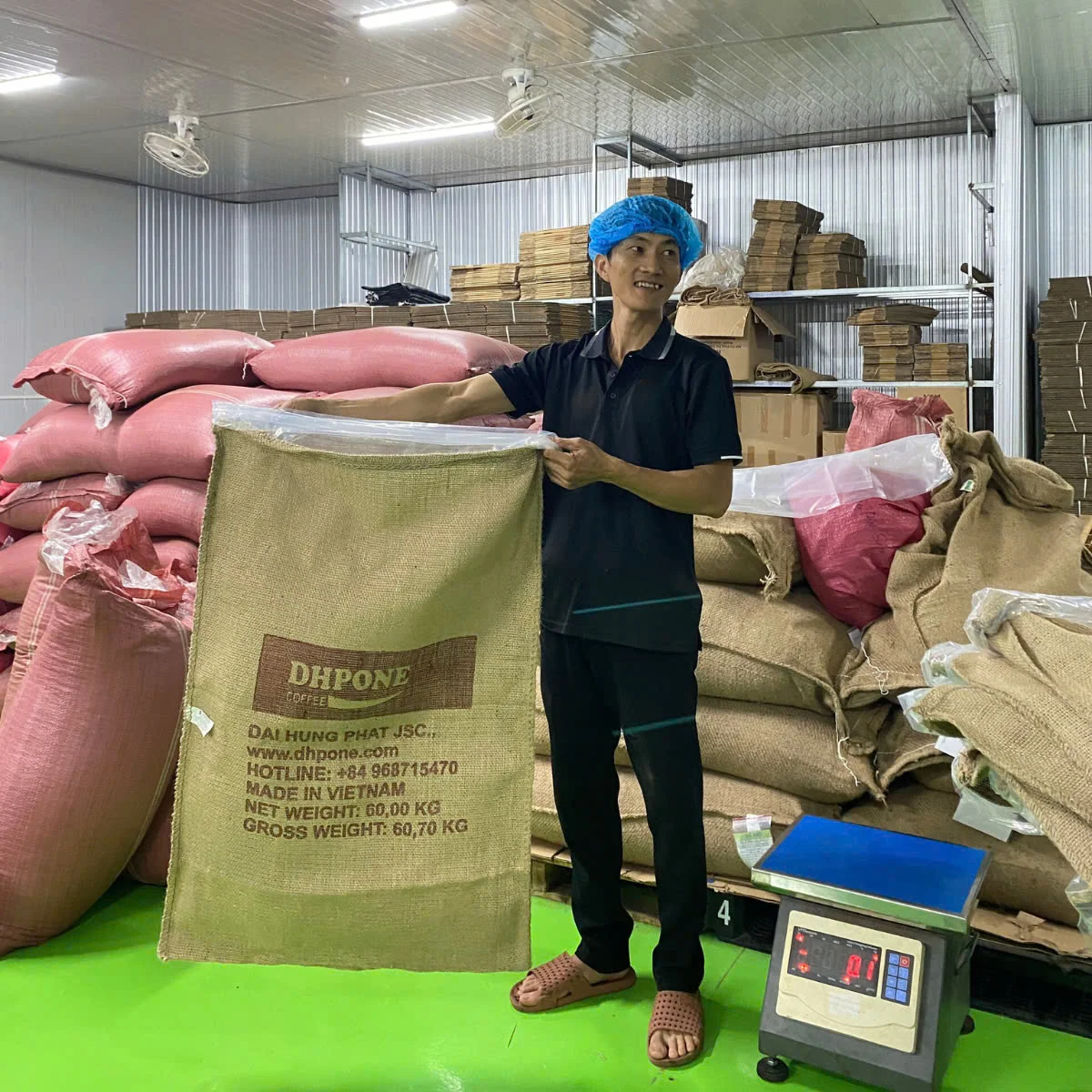 Высокое качество AA Green Arabica Coffee Beans S16 S18-по выгодной цене для экспорта из Вьетнама | DHP One