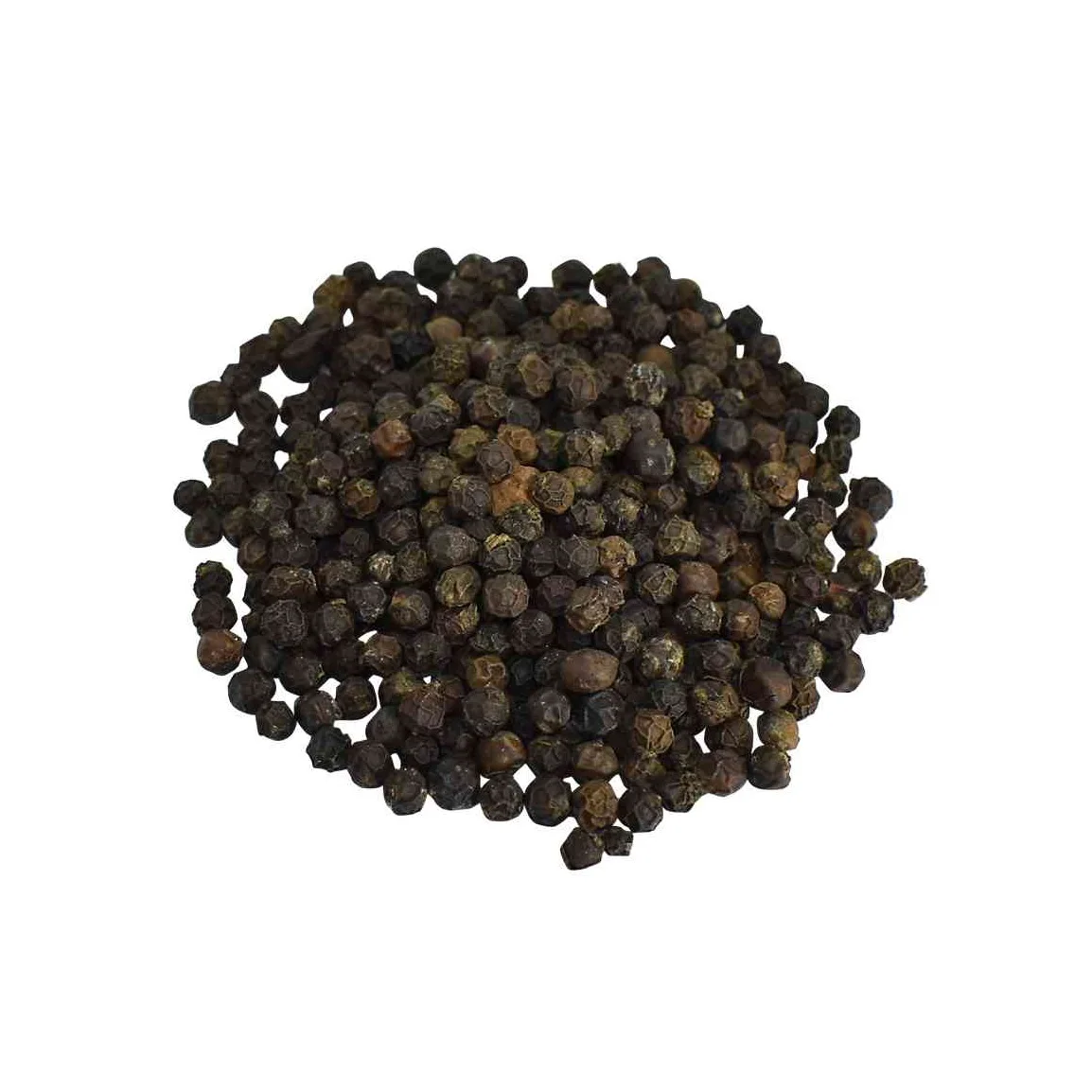 Super Quality Herbs and Spice Black Pepper for Cooking Available at Wholesale Price  from Indian Exporter