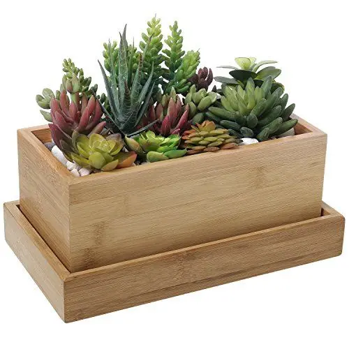 Home Decor  Modern Plant Pot Small Cactus Planter Pot With Bamboo Stand Wooden Stand Manufacturer