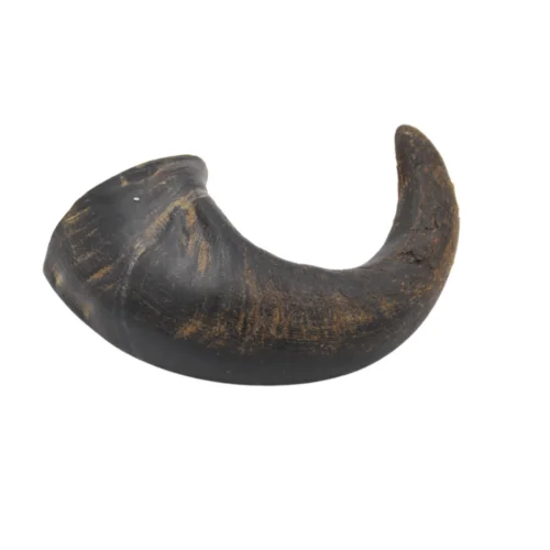 Buffalo-Horn-1.png