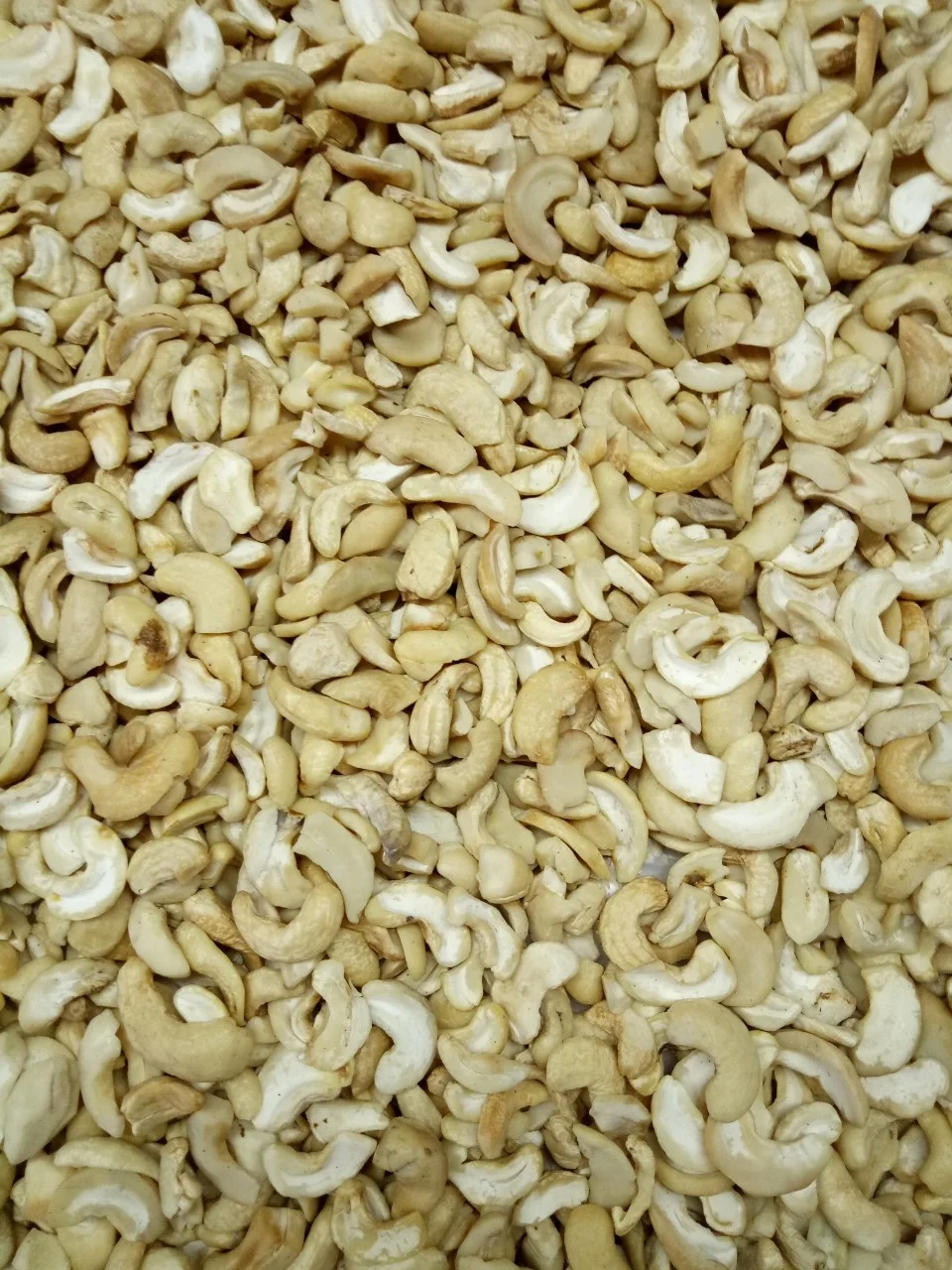 TOP QUALITY CASHEW NUT KERNEL  BB/SP/WS/LP/W320/W240 ORIGIN VIETNAM/ Ms Jolie whatsapp : +84902679738