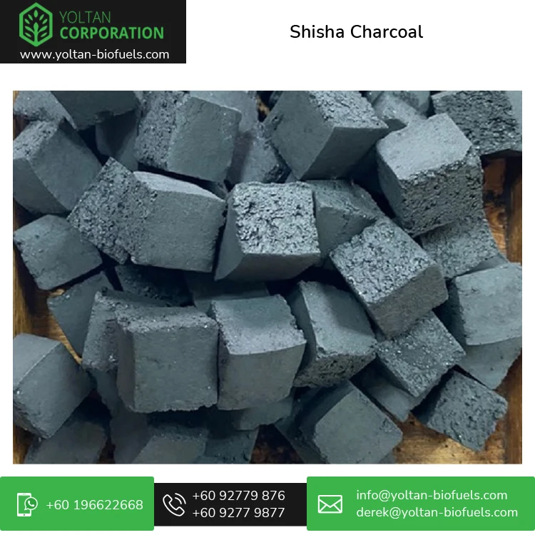 Global Supplier Selling Top Quality A Grade 100% Organic Odourless Briquette Shisha Charcoal at Best Price for Wholesale Buyers