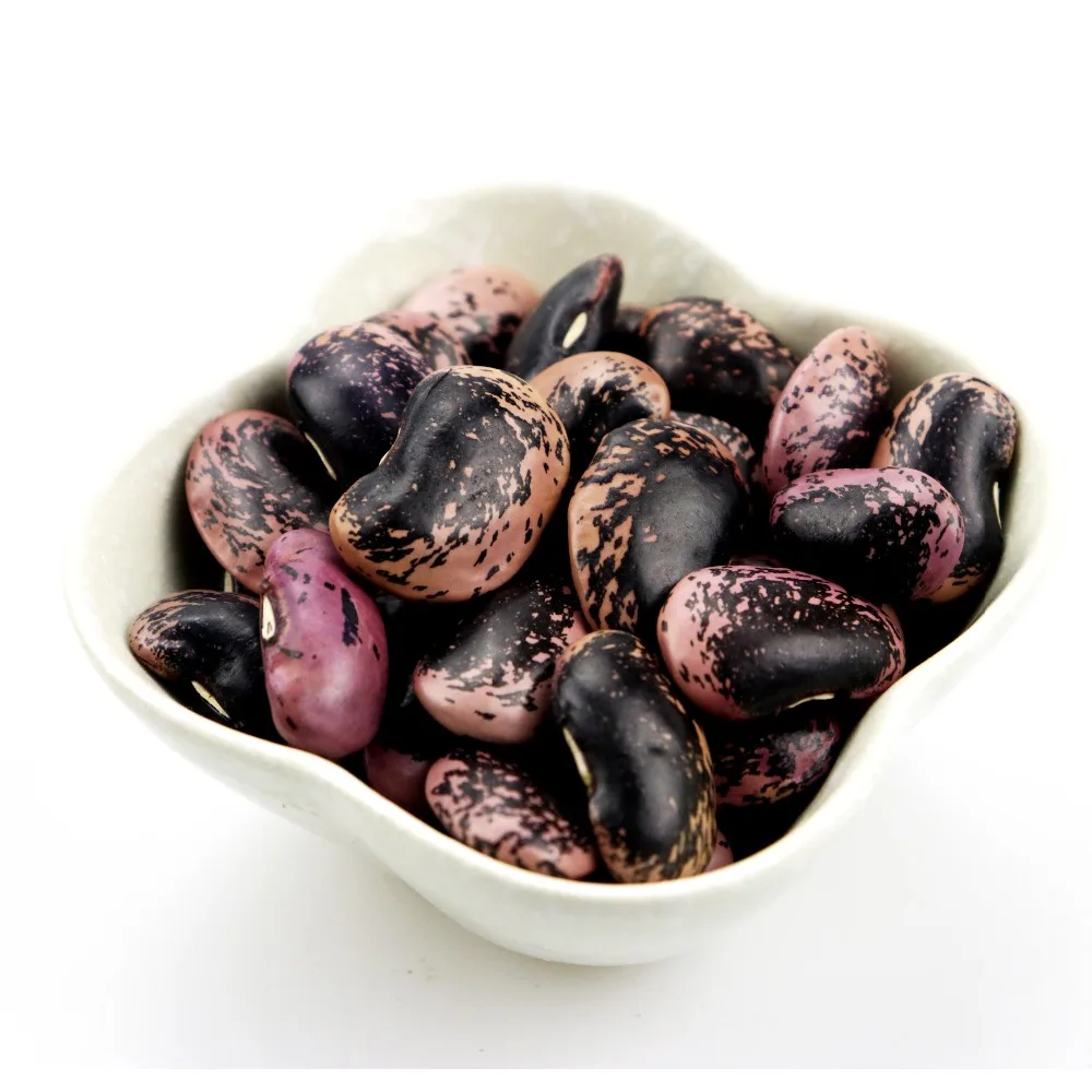 Best High quality red kidney beans / hot selling white kidney beans with wholesale price