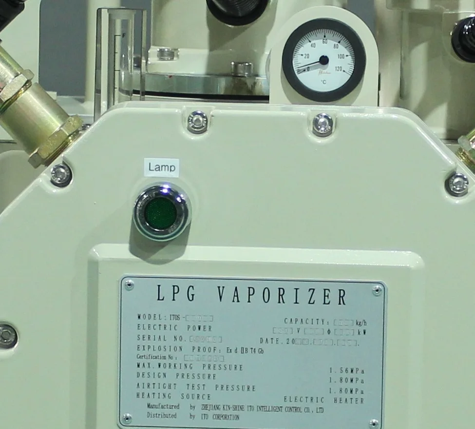 Japanese Hot Sale Safety Functions Incorporated Lpg Gas Water Heater