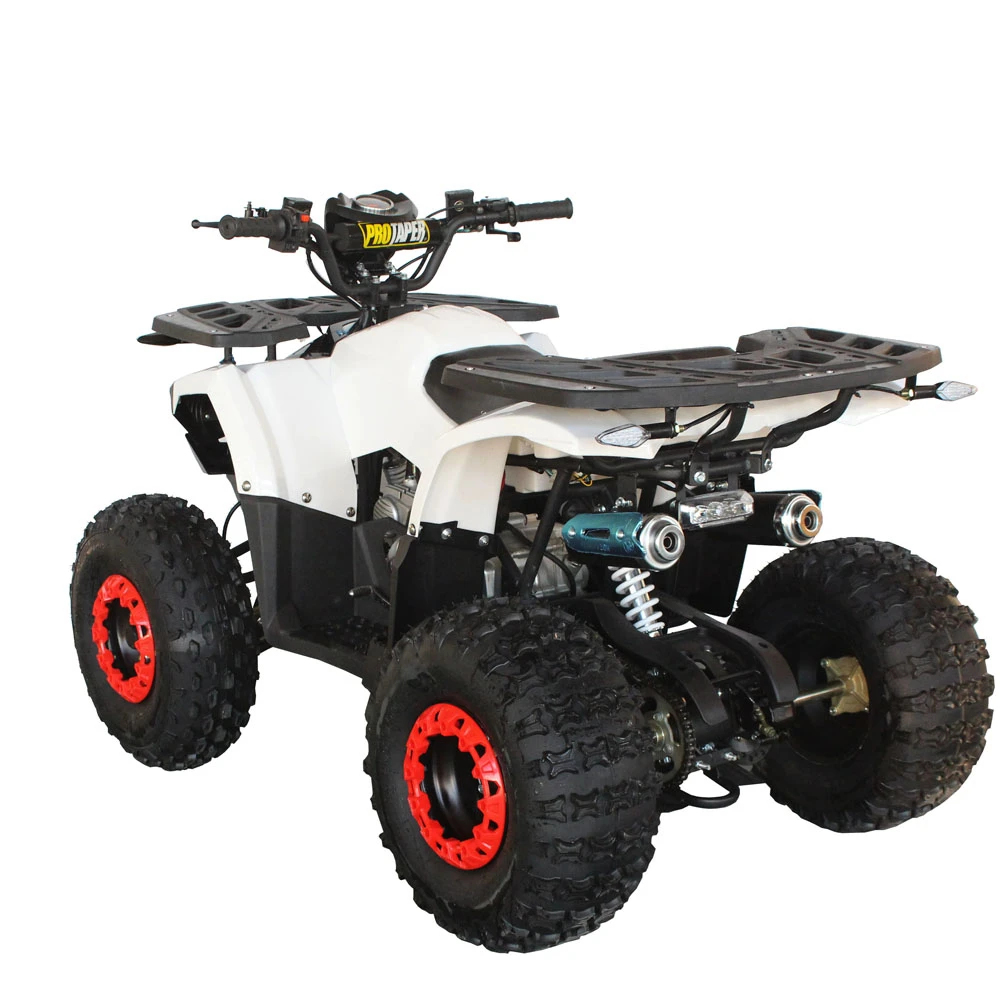 Popular ATV Quad 250cc Quad Bike best design diesel power engine with automatic brake transmission chain drive power engine